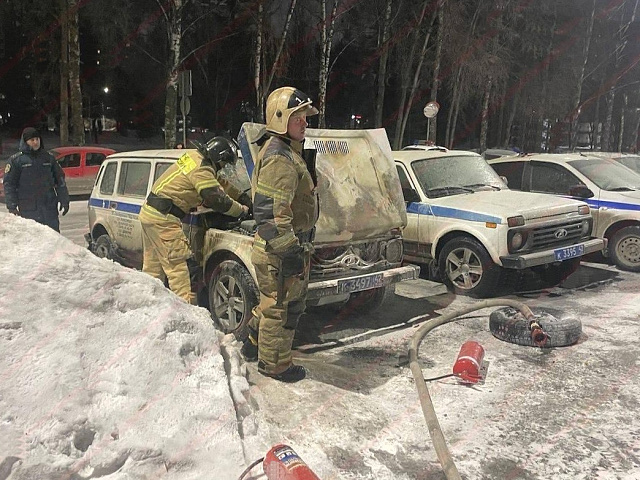 Задержана 27-летняя новокузнечанка за поджог служебной "Нивы" полиции на Тольятти