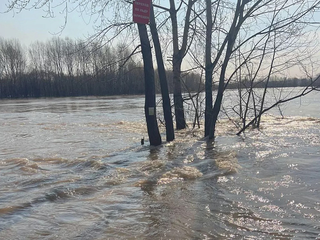 Паводок-2026 в Кузбассе: зона подтопления, прогнозы и что делать жителям